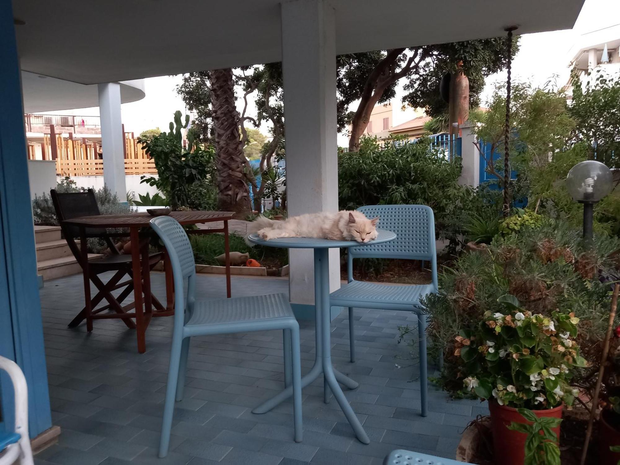 Villa Teodora Αλγκέρο Εξωτερικό φωτογραφία
